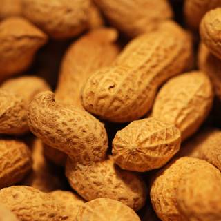 Nuts wallpaper