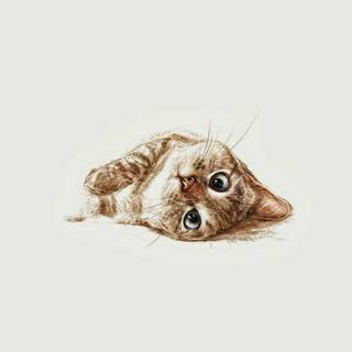 Cat drawings wallpaper