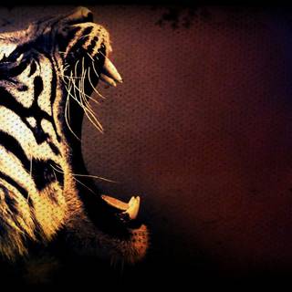 Tiger roaring wallpaper