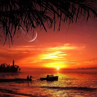 Summer evening wallpaper