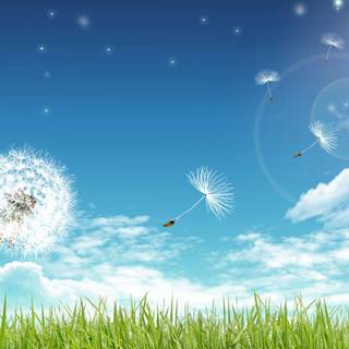 Beautiful summer scenery wallpaper