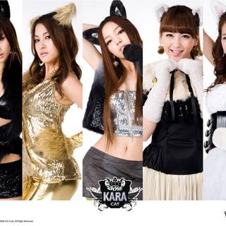 KARA wallpaper