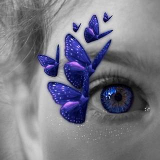 Butterfly kisses wallpaper