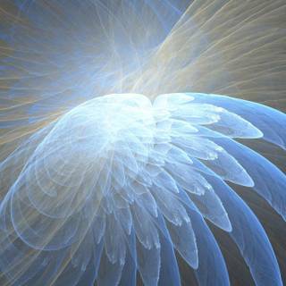 Angel wings wallpaper