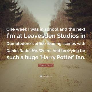 Dumbledore office wallpaper