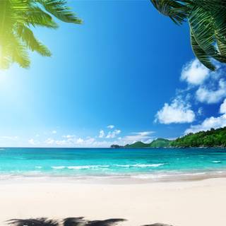 Tropical paradise wallpaper
