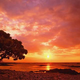 Sunset landscape wallpaper