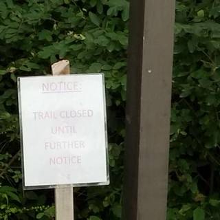 Gull Point Lighthouse wallpaper