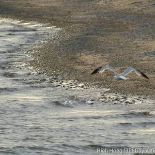 Gull Point Lighthouse wallpaper