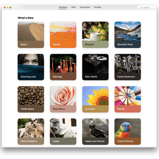 Charming Charlie wallpaper