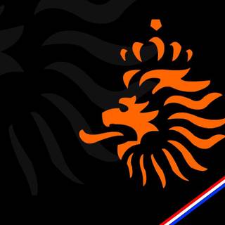 Oranje Leeuwinnen wallpaper