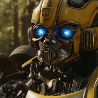Bumblebee minimal wallpaper