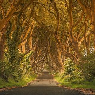 Irish landscape wallpaper