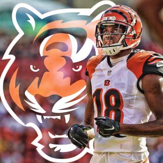 Jalen Green wallpaper