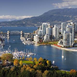 Row houses Montreal wallpaper