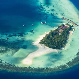 View paradise wallpaper