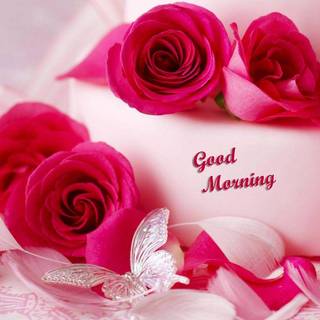 Hot coffee and roses wallpaper