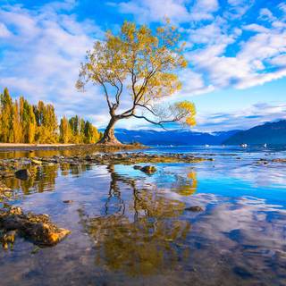 Lake in New Zealand wallpaper