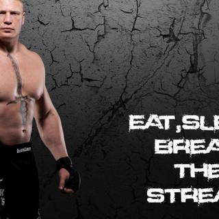 Brock Lesnar 2019 wallpaper