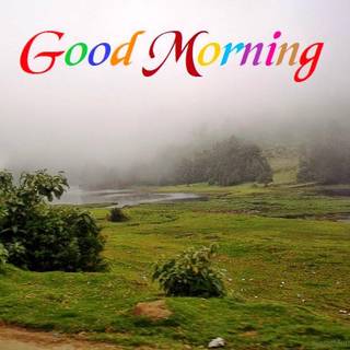 Nature good morning wallpaper