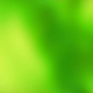 Light green gradient wallpaper