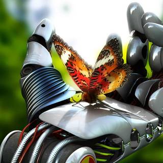 Amazing hand wallpaper