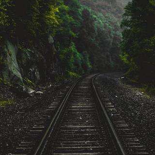 1080x2270 wallpaper