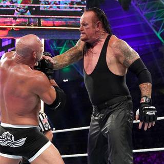 WWE Super Show-Down wallpaper