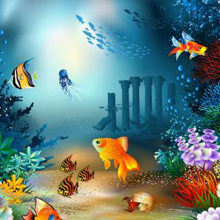 Life underwater wallpaper