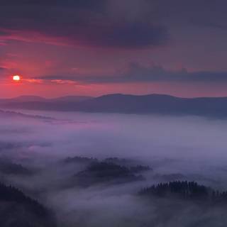 Purple horizon landscape wallpaper