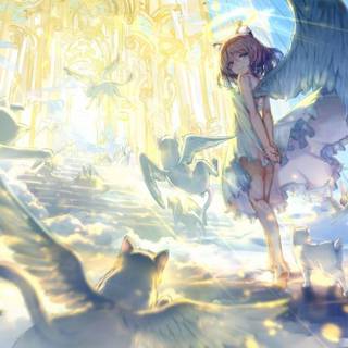 Angel of light wallpaper