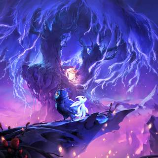 Silent forest wallpaper