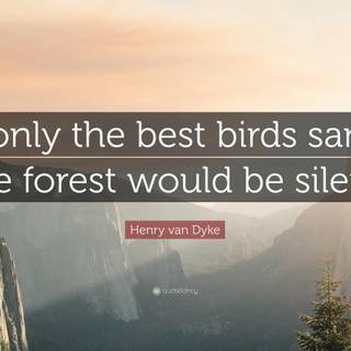 Silent forest wallpaper
