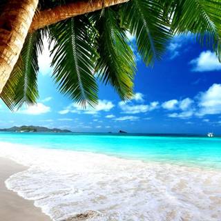 Beautiful beach waves wallpaper