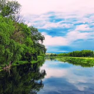 Summer river wallpaper