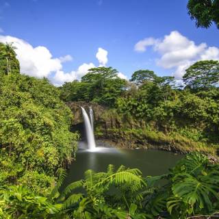 Summer river wallpaper