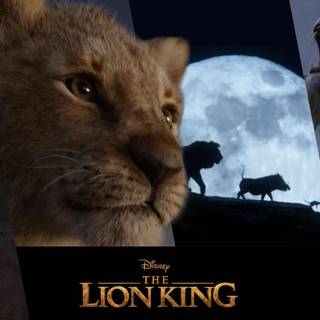 Timon and Pumbaa 2019 wallpaper