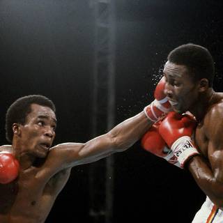 Sugar Ray Leonard wallpaper