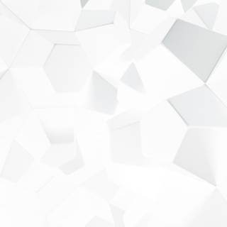 Whites wallpaper