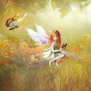 Fairy in flower field wallpaper