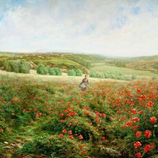 Fairy in flower field wallpaper