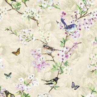 Bird blossom butterfly wallpaper