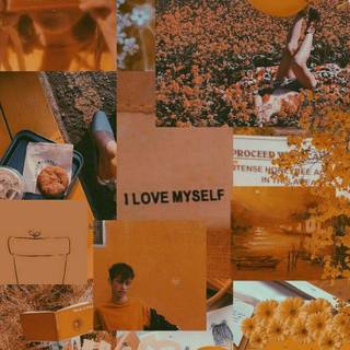 Orange aesthetic wallpaper