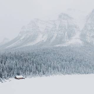 Lake cabin forest wallpaper