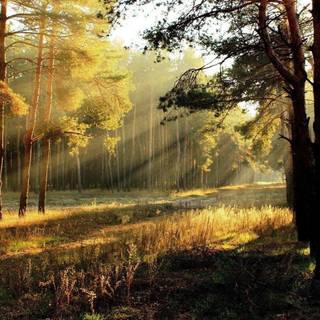 Nature sunrise landscape wallpaper