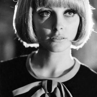 Sharon Tate wallpaper