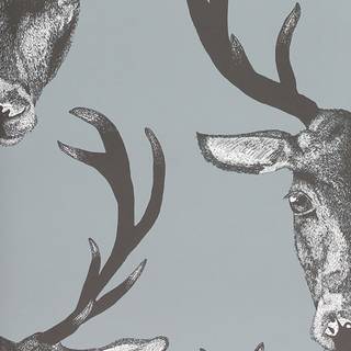 Stag wallpaper