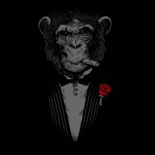 Dark amoled wallpaper