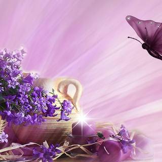 Butterfly flying wallpaper