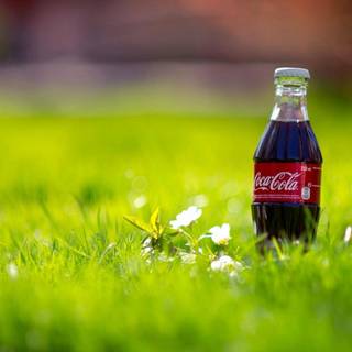 Cold Coca-Cola Coke bottle wallpaper
